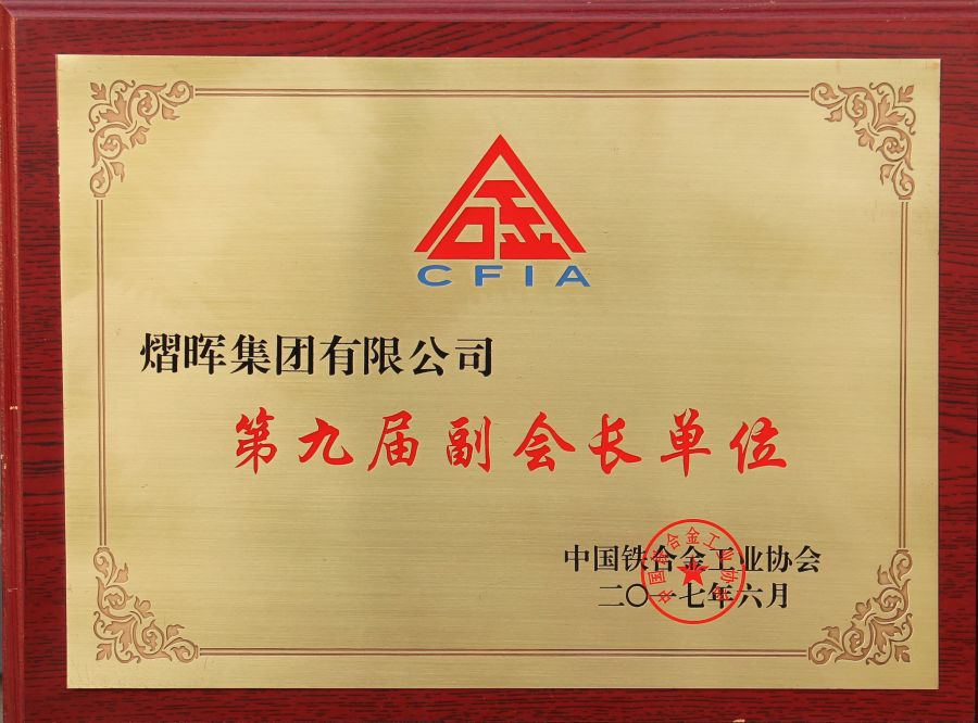 中國鐵合金協(xié)會第九屆副會長單位.jpg